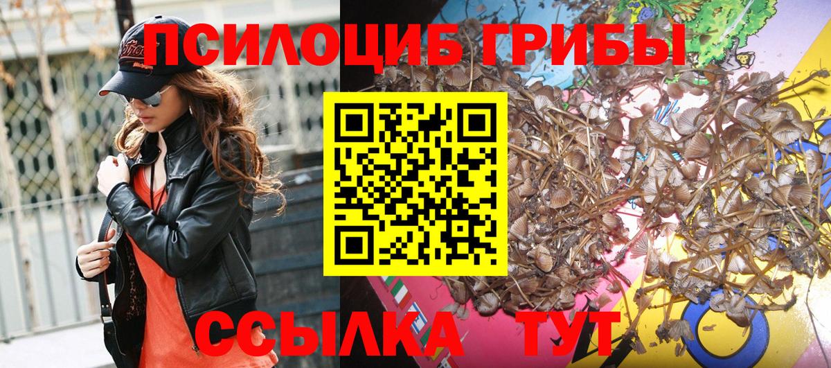 Свободный  Галлюциногенные грибы прущие грибы  магазин  наркотиков  Вход с VPN 