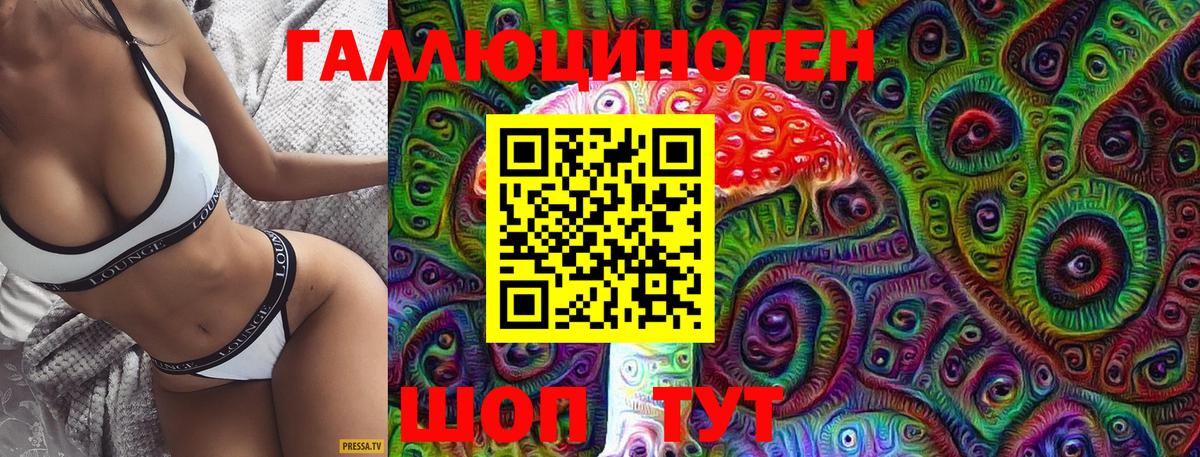 Галлюциногенные грибы Cubensis Свободный